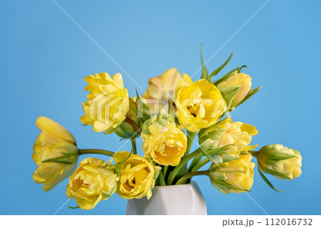 Mothers day, Greeting card. Congratulations concept, March 8. Sunlit Yellow Tulips in Vase. Close-up of vibrant yellow tulips bathed in soft natural light, emanating freshness and spring vibes. 112016732
