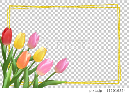 Tulip and gold leaf frame background 112016824