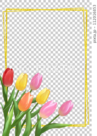 チューリップと金箔のフレーム背景　縦長 112016853