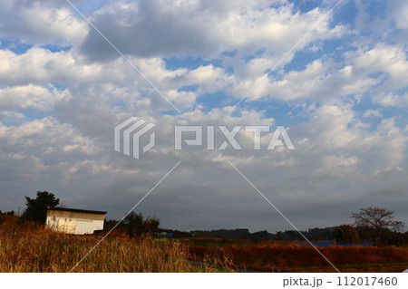 雲の多い朝の空　枯草　畑地 112017460