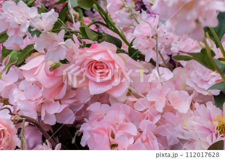 Rose - Flower, Pink Color, Flower, Backgrounds, Bouquet Rose - Flower, Pink Color, Flower, Backgrounds, Bouquet 112017628