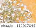かすみ草　夏の花 112017845