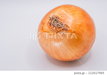 玉ねぎ 112017995