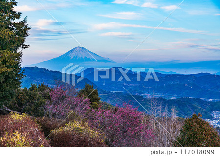 （静岡県）夕闇迫る梶原山公園から望む富士山 112018099