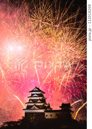 鮮やかな花火で浮かび上がる天守閣 112018209