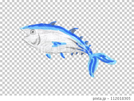 色鉛筆と水彩ペンで描いたカツオのイラスト 112018305