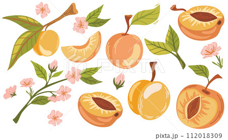 1573_peach 112018309