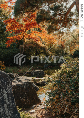 Beautiful calm scene in spring Japanese garden. Japan autumn image. Beautiful Japanese garden with a pond and red leaves. Pond in a Japanese garden. 112018449