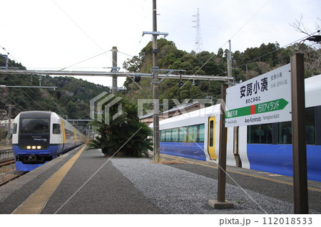 安房小湊駅に停車する255系特急「わかしお」号_2024/1/31撮影 安房小湊駅に停車する255系特急「わかしお」号_2024/1/31撮影 112018533