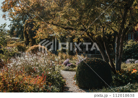 Panorama Of Forest Green Landscape With White Flowers And Path. Art Flowers In The Morning In An Summer Park. Landscaped Park With A Garden Bed And Different Trees And Bushes On A Turf Lawn, Evergreen Panorama Of Forest Green Landscape With White Flowers And Path. Art Flowers In The Morning In An Summer Park. Landscaped Park With A Garden Bed And Different Trees And Bushes On A Turf Lawn, Evergreen 112018638