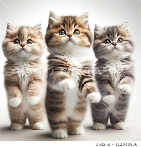 二本足で立っている3匹の猫 白背景 写真風 リアル AI生成画像の