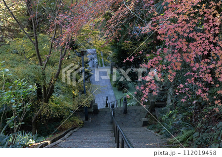 紅葉とお寺の階段 紅葉とお寺の階段 112019458