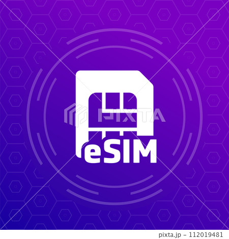 eSIM card vector icon for web 112019481