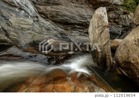 river in the forest 112019654