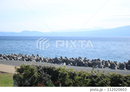 田子の浦みなと公園 112020603