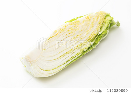 白背景に白菜 白背景に白菜 112020890