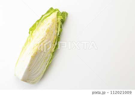白背景に白菜 白背景に白菜 112021009