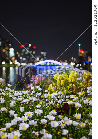 東京都石川島公園の花と永代橋 112021360