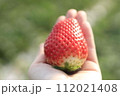 バスツアーで行ったいちご狩りの美味しい苺1粒 112021408