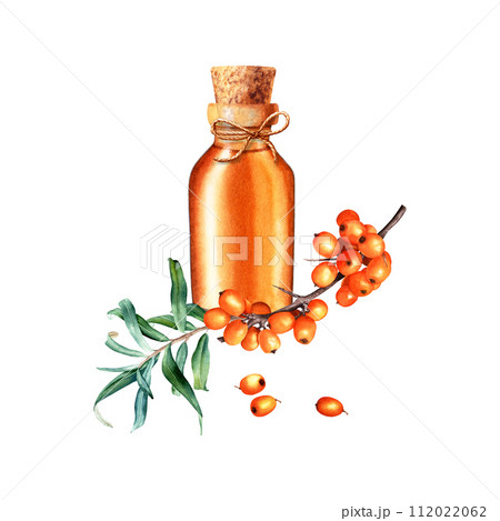 Composition with sea buckthorn and glass oil bottle, jar with cork and decorative rope jute string. Hand drawn watercolor illustration isolated on white. For clip art template label Composition with sea buckthorn and glass oil bottle, jar with cork and decorative rope jute string. Hand drawn watercolor illustration isolated on white. For clip art template label 112022062