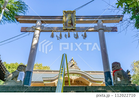 大阪府四條畷市清滝中町の國中神社(大蛇宮) 鳥居 大阪府四條畷市清滝中町の國中神社(大蛇宮) 鳥居 112022710