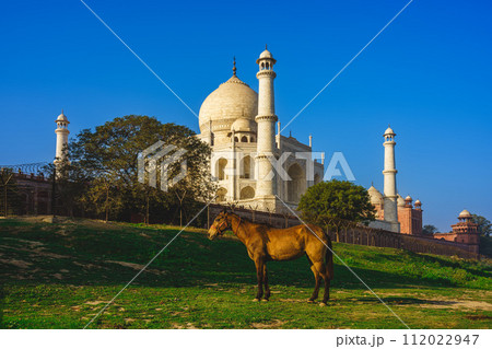 Taj Mahal, UNESCO world heritage site, in Agra, India at dusk 112022947