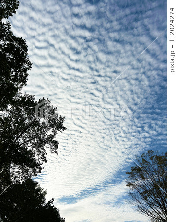 秋の空に浮かぶ雲 秋の空に浮かぶ雲 112024274