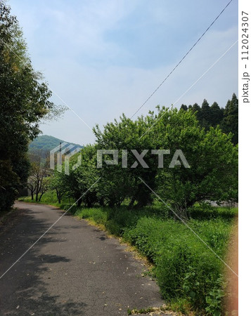 田舎の散歩道 112024307