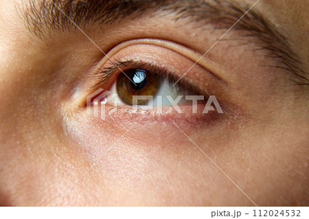 Close up photo of brown eyes of young man. Male model with well-kept skin without imperfections. 112024532