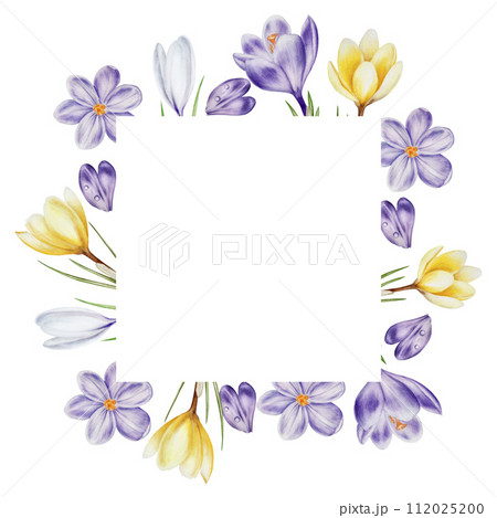 Watercolor frame, logo with yellow, purple and white blooming crocus flowers isolated on white background. Spring and easter template, botanical hand painted saffron illustration. For designers, 112025200