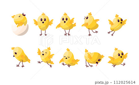 Cartoon Color Characters Cute Chicken Baby Set Concept Flat Design Style. Vector illustration of Mascot Little Bird Cartoon Color Characters Cute Chicken Baby Set Concept Flat Design Style. Vector illustration of Mascot Little Bird 112025614
