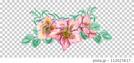 Pink Hellebores with mint herbs. Spring plants. Three Helleborus flower heads with eucalyptus branches. Watercolor illustration. For wedding invitation, birthday cards, textile design, prints 112025617