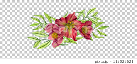 Purple Hellebores with green herbs. Spring plants. Three Helleborus flower heads with eucalyptus branches. Garden flowers. Watercolor illustration. For wedding invitation, birthday cards 112025621