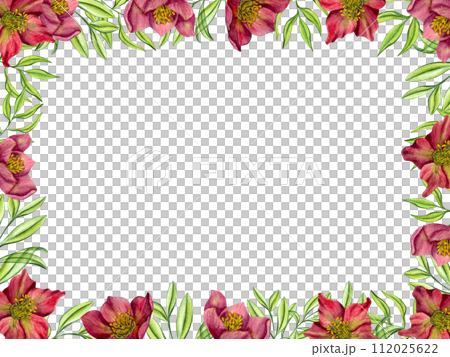 Purple Hellebores with green herbs. Horizontal frame with copy space for text. Spring plants. Helleborus flower, eucalyptus branches. Watercolor illustration. For wedding invitation, birthday cards 112025622