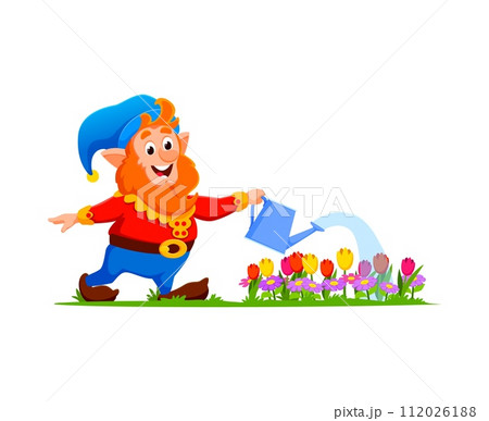 Cartoon gnome or dwarf gardener character, adorned in vibrant attire and a pointy hat, cheerfully tends to blooming flowers. Isolated vector personage carefully watering blooms with a contented smile 112026188