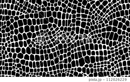Crocodile, dinosaur and snake reptile skin pattern of animal leather, vector background. Abstract black and white crocodile or snake skin texture pattern of python, alligator or snakeskin lizard print Crocodile, dinosaur and snake reptile skin pattern of animal leather, vector background. Abstract black and white crocodile or snake skin texture pattern of python, alligator or snakeskin lizard print 112026229