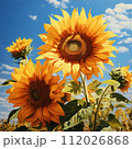 Close up of sunflowers in a field. Yellow sunflowers in a sunflower field on the background of a blue sky with clouds. Group of beautiful big yellow flowers with seeds on a sunny day. 112026868