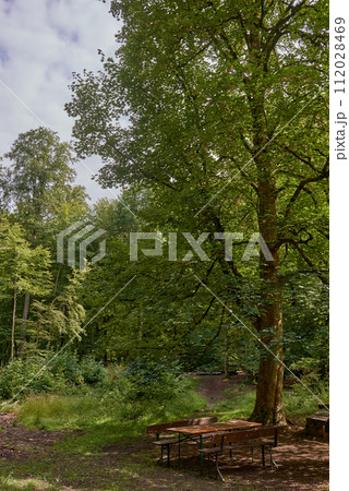Picnic table on a green meadow with trees on background. Picnic area with picnic table on a green meadow. scenic view of wooden picnic tables amidst trees. Tranquil scene of picnic area Picnic table on a green meadow with trees on background. Picnic area with picnic table on a green meadow. scenic view of wooden picnic tables amidst trees. Tranquil scene of picnic area 112028469
