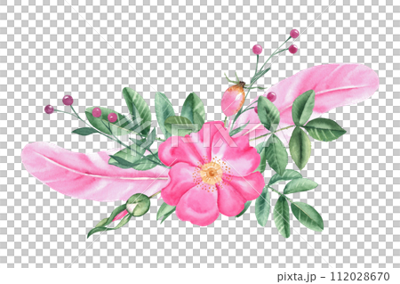 Watercolor composition from dog rose flowers, leaves, buds and pink feathers isolated on white background. Botanical hand drawn illustration. Watercolor composition from dog rose flowers, leaves, buds and pink feathers isolated on white background. Botanical hand drawn illustration. 112028670