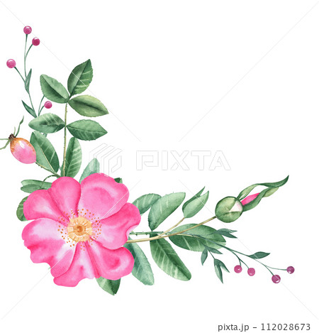 Watercolor dog rose bouquet, corner composition from flowers, leaves and pink berries isolated on white background. Botanical hand drawn illustration. For cards, invitations and floral designs. Watercolor dog rose bouquet, corner composition from flowers, leaves and pink berries isolated on white background. Botanical hand drawn illustration. For cards, invitations and floral designs. 112028673