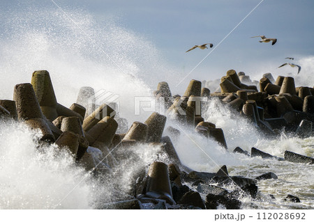 Hurricane scene, a seagull flies over waves and splashes during a coastal storm, selected focus Hurricane scene, a seagull flies over waves and splashes during a coastal storm, selected focus 112028692