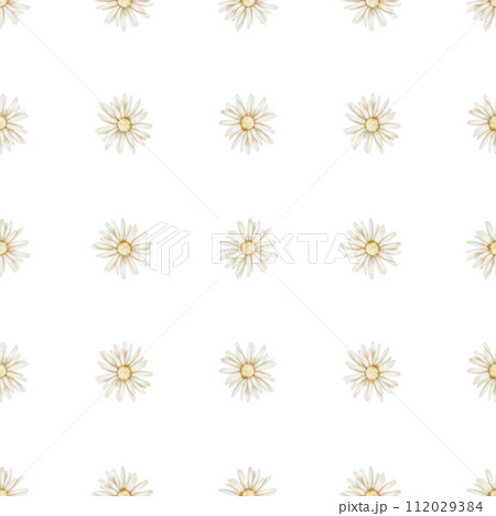 Chamomile seamless Pattern. Hand drawn watercolor ornament with Daisy Flowers on white isolated background. Floral backdrop for wallpaper or wrapping paper. Botanical print for textile in rustic style 112029384