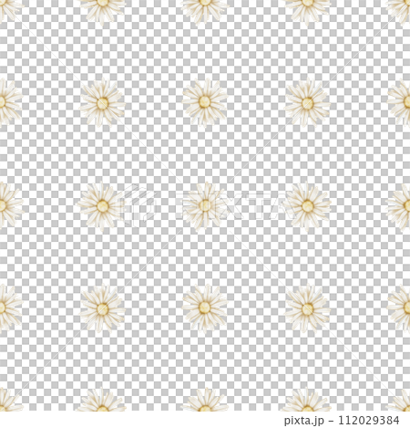Chamomile seamless Pattern. Hand drawn watercolor ornament with Daisy Flowers on white isolated background. Floral backdrop for wallpaper or wrapping paper. Botanical print for textile in rustic style 112029384