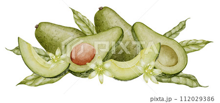 Avocado Watercolor illustration. Botanical drawing of Fruit with flower. Vegetable with leaves painting. Hand drawn clip art composition on isolated background. Vegan food for recipes and cookbooks. 112029386