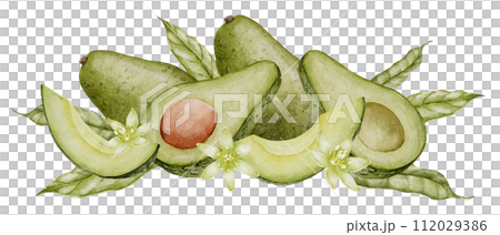 Avocado Watercolor illustration. Botanical drawing of Fruit with flower. Vegetable with leaves painting. Hand drawn clip art composition on isolated background. Vegan food for recipes and cookbooks. 112029386