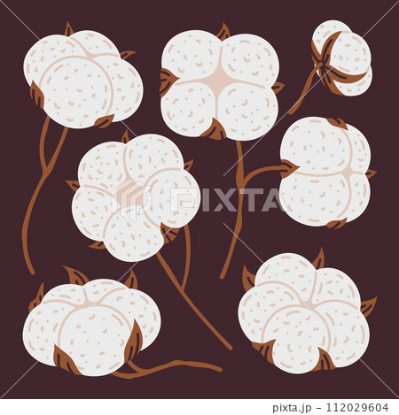 Hand drawn cotton flowers. Ripe white cotton buds, cute flower plants, doodle cotton ball flat vector illustration set. Fluffy blooming cotton 112029604