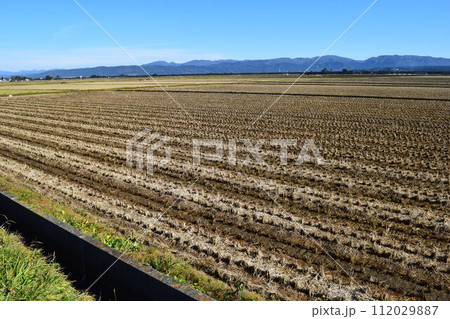 秋の田園風景 山形県庄内 112029887
