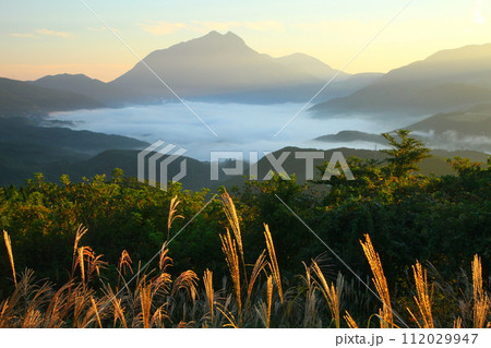 由布院の雲海(由布岳・由布市湯布院町) 由布院の雲海(由布岳・由布市湯布院町) 112029947