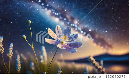 輝く水面にと花 112030271