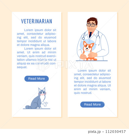 Veterinary medicine flyer or vertical banner with copy space, button. Young veterinarian, dog in protective cone, cute cat with injured paw on white background Flat line vet clinic vector illustration 112030457